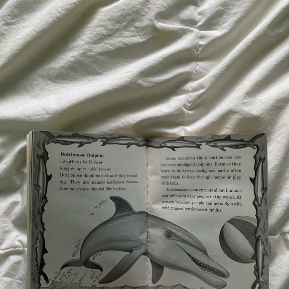 3/ 15$ - Picture 4 of 4